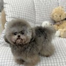 멜로디펍스 이미지