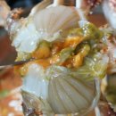 군산해물탕 이미지