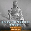 서울초밥 Daum카페