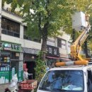 기동반-19 이미지