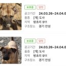 이성준동물병원 이미지