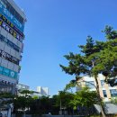 어진동_세종비지니스센터빌딩 건너편 | [세종 마이스 센터]전문기관 회의 진행하기 좋은 대관 공간