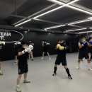 팀와이에프 이미지