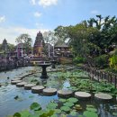 [마을배움터] 꽃이야기 천아트 | 발리 가볼만한곳 우붓여행코스 우붓왕궁 워터팰리스 몽키포레스트 띠르타 엠풀사원 관광세