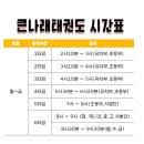 큰나래태권도