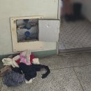별샘 | 창원 용호동 아랫집누수 원인 샤워수전 체결 불량, 물 샘 해결 후기