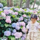 먹고가쉼