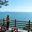 우주목장 이미지