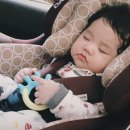 (주)지노네이처 | 베이비엑스포