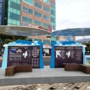 속삭이는 바다 이미지