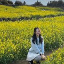 (주)붐렌트카 | 제주도 여행 Day1｜제주공항 근처 맛집, 김녕해수욕장, 월정리해수욕장, 성산유채꽃밭, 광치기해변 일몰...