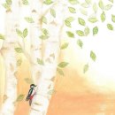 서울갤러리치과의원 이미지