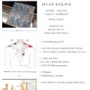 경희부부한의원 | 좌충우돌 이원장의 구글 플랫폼 이용 홈페이지 만들기! 경희판교부부한의원