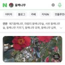 강호태권도 | 카츠무라, 해운대 모레축제, 해운대 선물가게, 송림공원, 동백섬, 오야츠, 보노베리, 강호, 오빠야횟집)