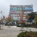 크로바내과의원 네이버블로그