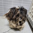 구계주유소 이미지