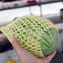 성림휠얼라이먼트 이미지