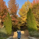 경상남도수목원주차장 이미지