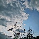 -Meditation 차훈명상 세계 仙海의 새벽 편지 (17) 아모르 파티(Amor Fati) ㅡ 내 삶을 사랑하는 힘(삶을 온전 이미지