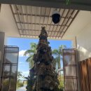 크라운관광호텔(CROWN HOTEL) | [사이판]크라운프라자 호텔 리뷰