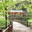 용담농장 이미지