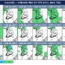 요란 이미지