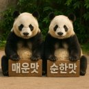 이재명 vs 김문수 - 중공 매운맛 vs 순한맛