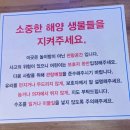 아쿠아춘천닭갈비 이미지