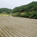 호천마을회관 이미지