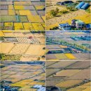 거제옥산숲 이미지