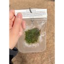 [후기] 251129 데뷔 30주년 기념 팬미팅 후기🧡 이미지