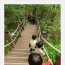 (주)오월에숲