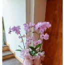 승진농장2 이미지