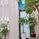 송도랜시티의원 이미지