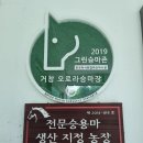 거창 오로라 승마장 이미지