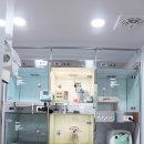 배선생펫스토리동물병원