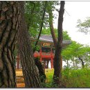 삼천궁여