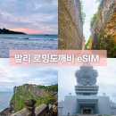 코끼리 카서비스 | 인도네시아 발리 여행 준비물 로밍도깨비 이심 eSIM 로깨비톡 통화 가능 무제한 후기