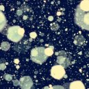 당신이 있어 좋은세상 이미지