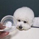 우월한 탄산 이미지