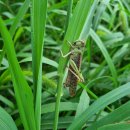 목인농장 이미지