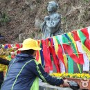진도신비의바닷길 온라인 축제 네이버블로그