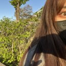 라이언드브로우 이미지
