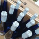 아술(AZUL) 이미지