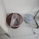 필리핀 바콜로드 어학연수 이룸어학원 일과 및 후기
