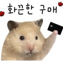 말랑말랑 이미지