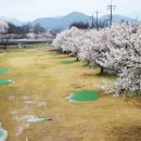 오곡 파크골프장 이미지