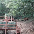 성운유치원 이미지