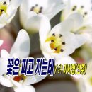 꽃은 피고 지는데 / 詩 이서정(연주) 이미지