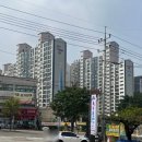 독도볼태기 이미지